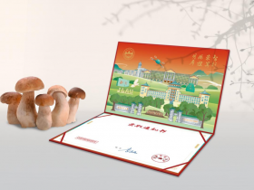 学生用录取通知书做饭?高校回应