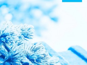 今日冬至,记得吃饺子